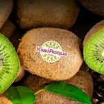 Kiwi Roque